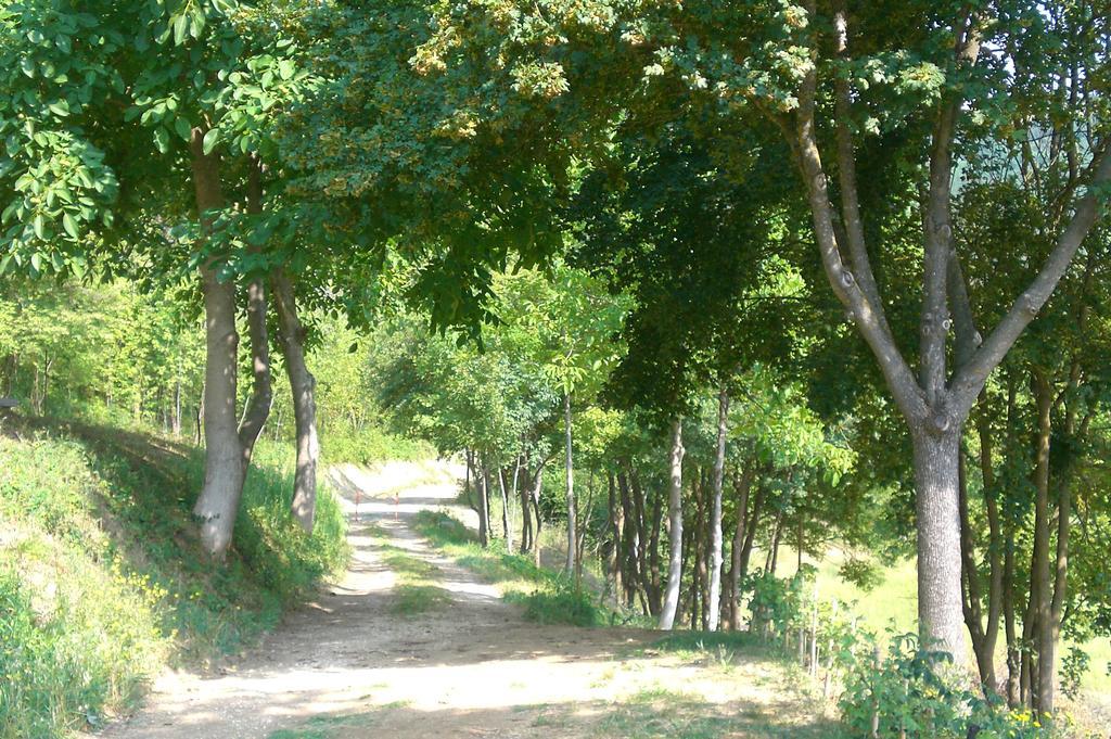 Brisighella Green Wellness Eksteriør billede
